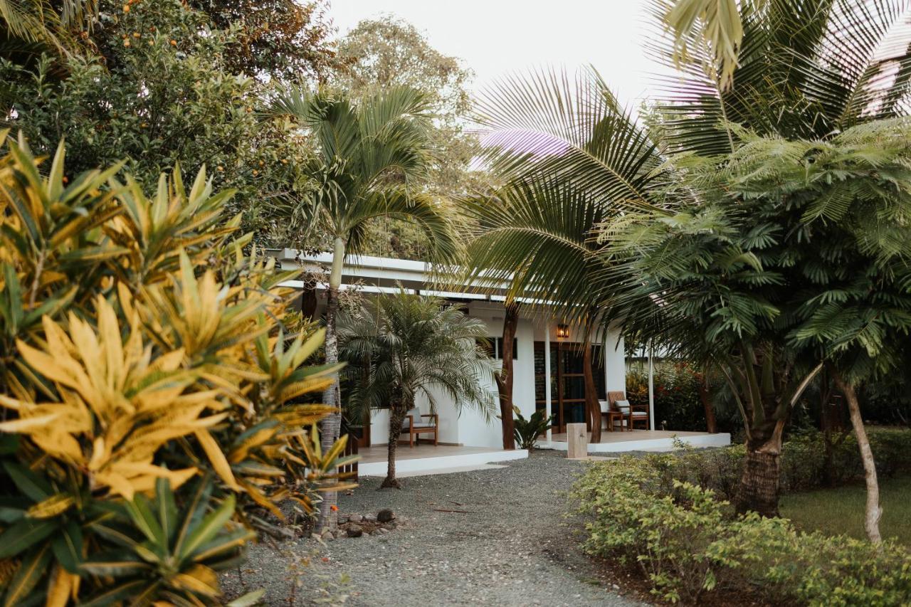 Salvatierra Beachfront Hotel Puerto Coyote 외부 사진